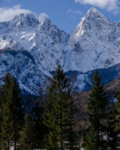 Breathtaking view of snow-covered mountains and evergreen conifers in Kranjska Gora, Slovenia.