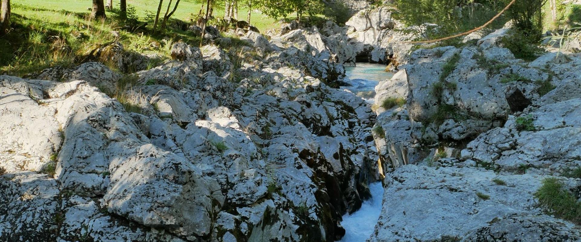 River of Trees Trail