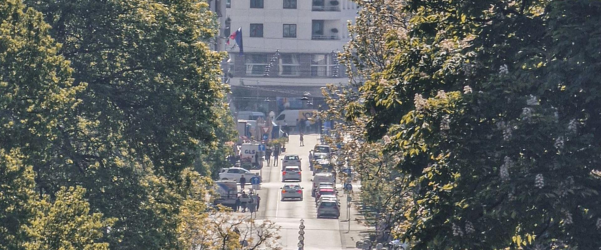Aerial view of Ljubljana's cityscape with trees lining the streets and historic architecture.