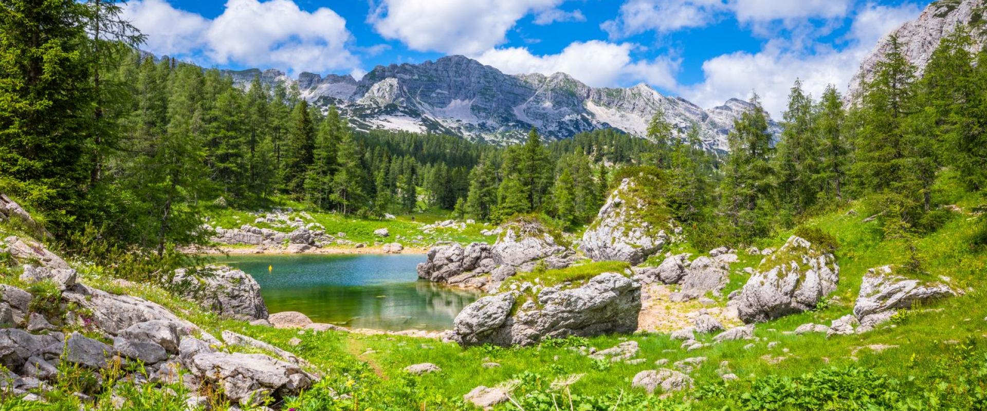 Free Stunning view of a serene mountain lake surrounded by lush greenery in the Julian Alps, Slovenia. Stock Photo