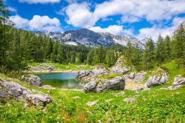 Lakes & Rivers