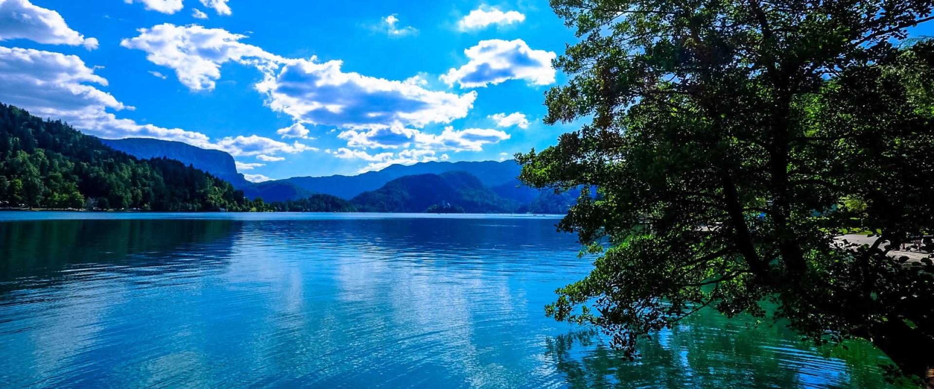 Lake Loop Walk