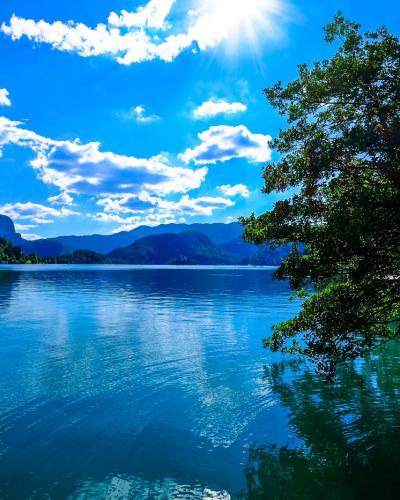 Beautiful scenic view of Lake Bled with clear blue water and lush greenery in Slovenia under a bright sky.