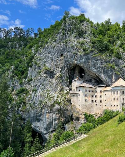 Scenic view of Predjama Castle nestled in Slovenia's rocky landscape surrounded by lush greenery.