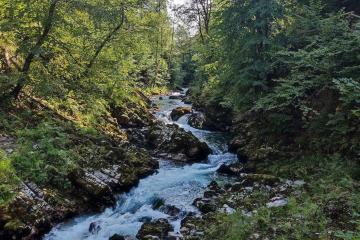 Bohinjska Bela