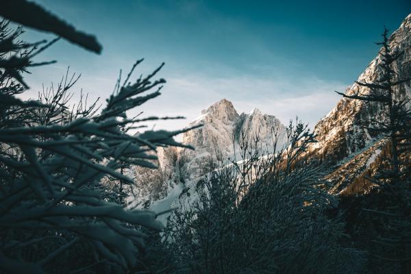Winter Wonderland