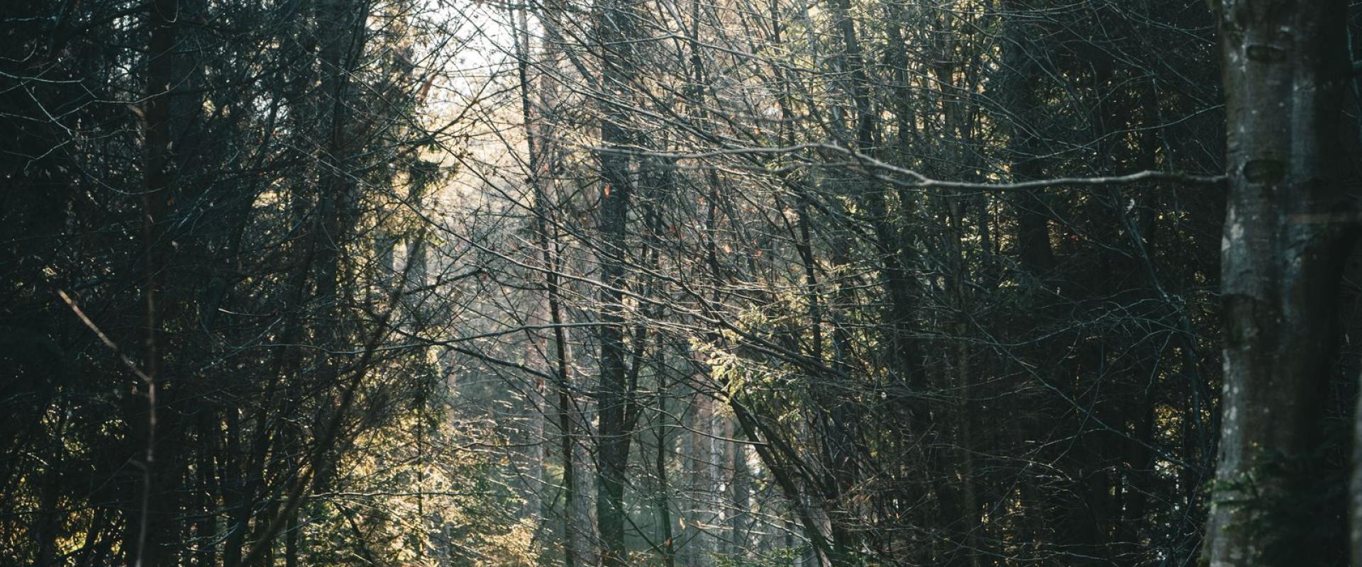 Off the Beaten Path