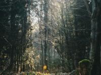 Off the Beaten Path