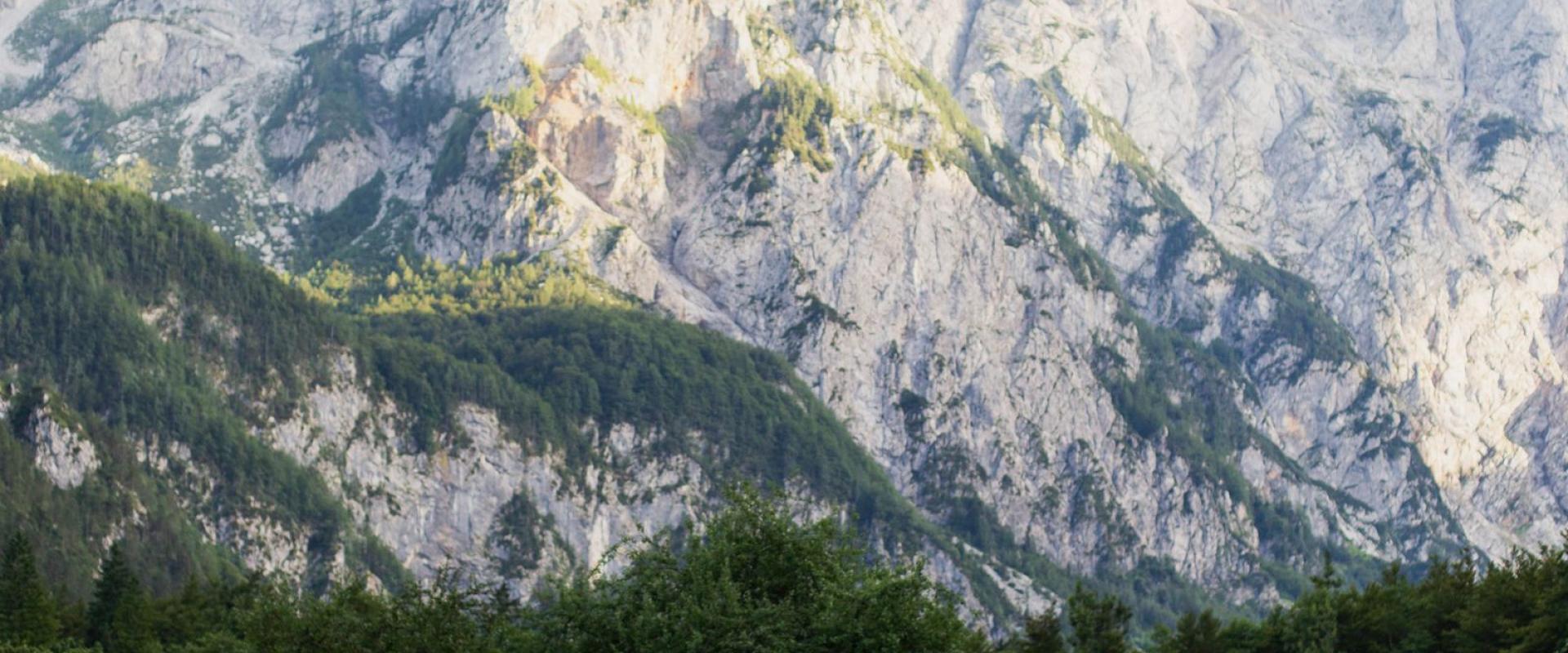 Springtime Wildflower Walks in Slovenia