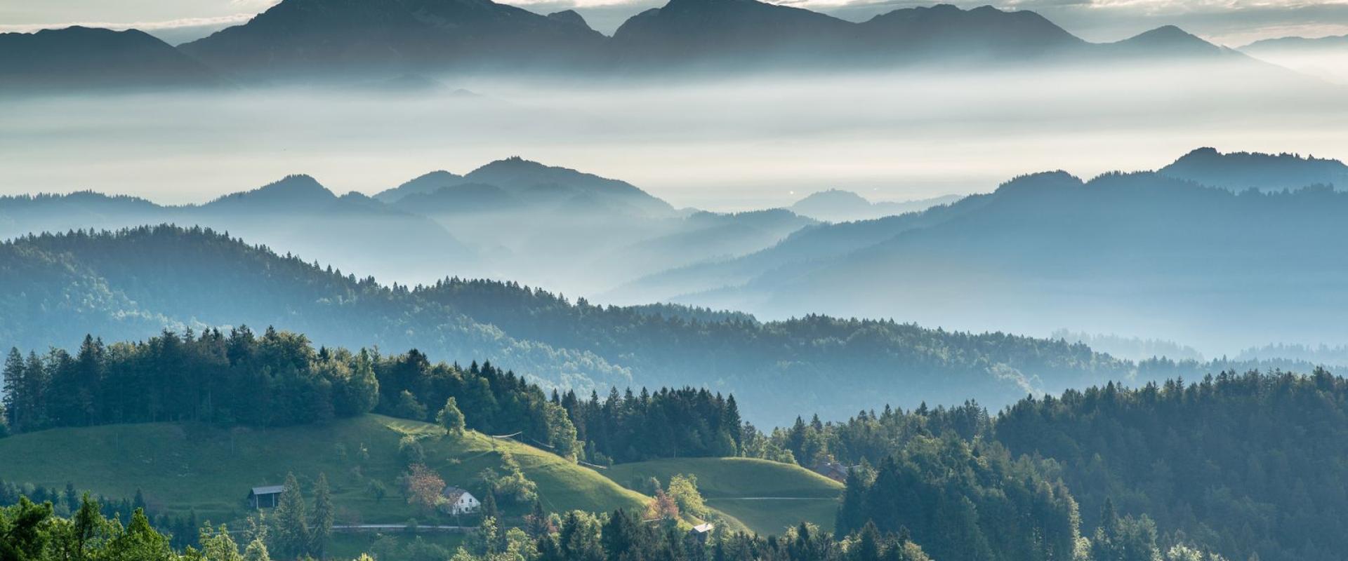The Art of Slovenian Beekeeping