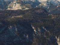 Radovljica