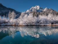 Zelenci